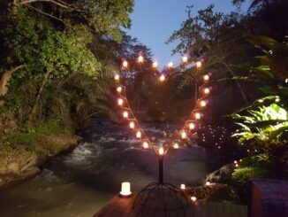 Hochzeitsantrag auf Bali