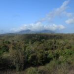 West Bali Nationalpark