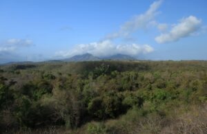 Bali Barat Nationalpark
