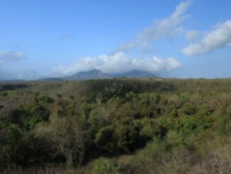 Bali Barat Nationalpark