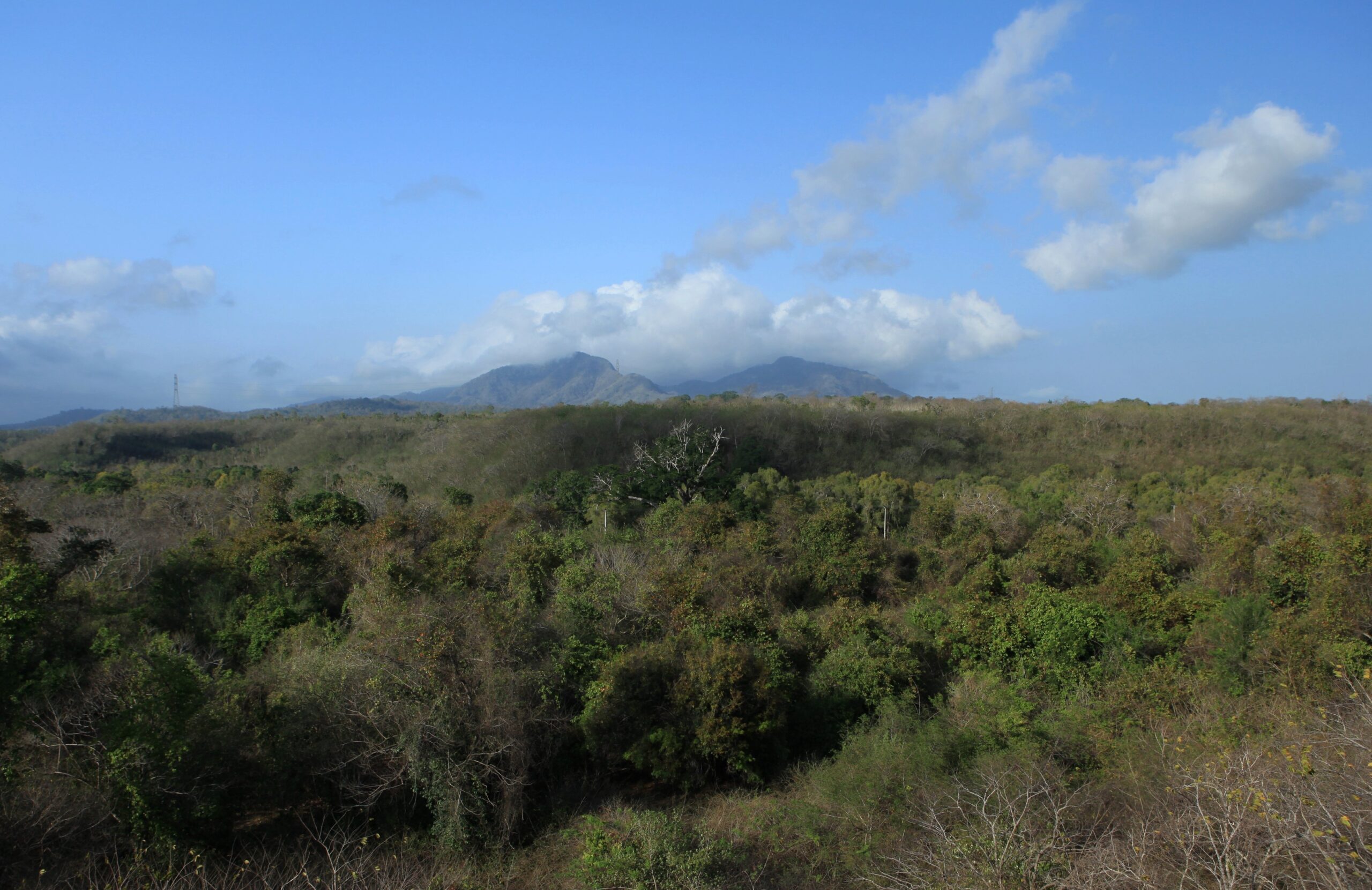 Bali Barat National Park
