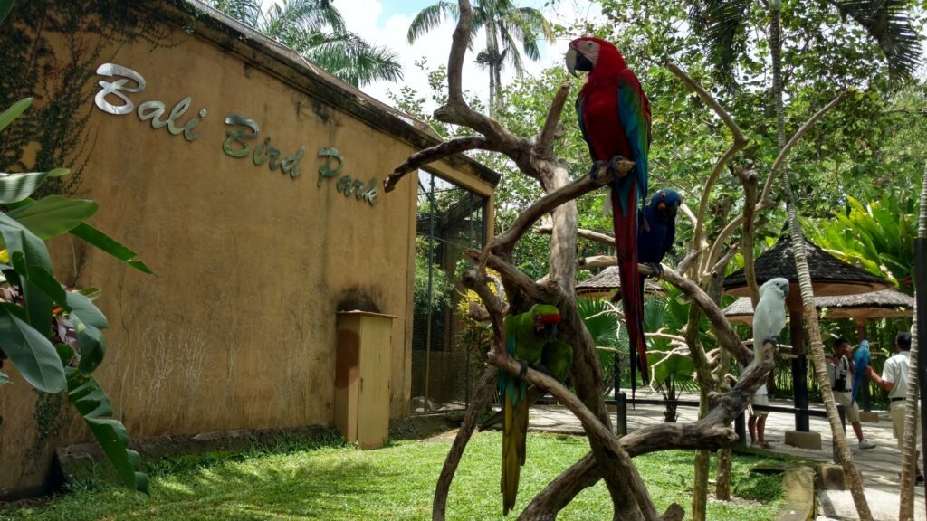 bali bird park taman barung