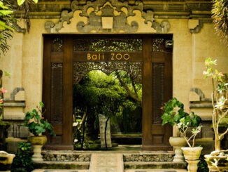 bali zoo