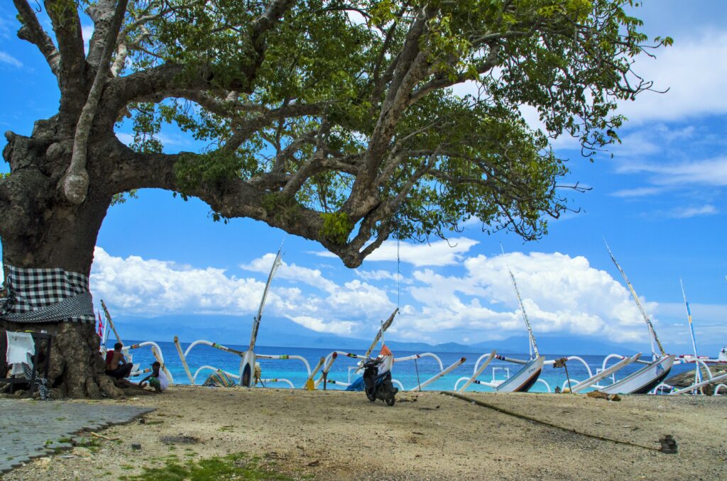 nusa penida scooter