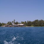 Menjangan Insel - Pulau Menjangan