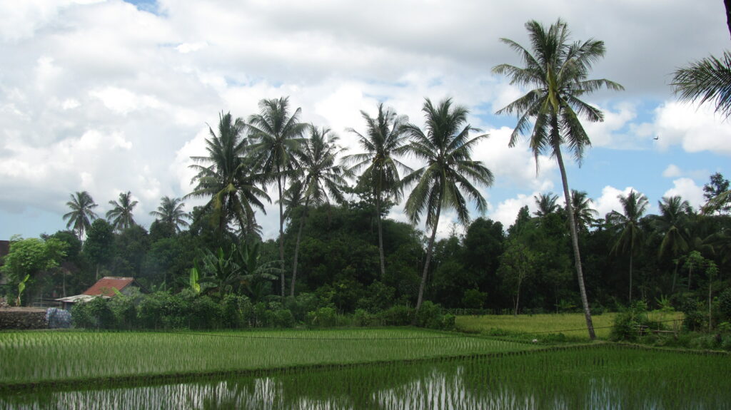 lombok