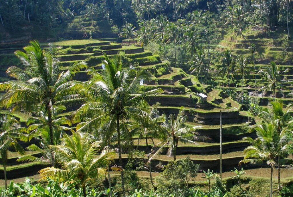 anreise nach bali