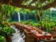 Bio-Restaurants Bali