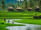Bali Backpacker Route Highlights