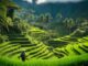 Bali Backpaper Route