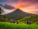 Bali Rundreise 7 Tage
