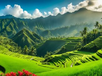 Bali Tour