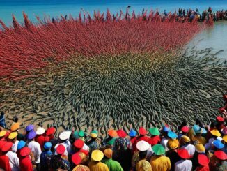Bau Nyale Festival