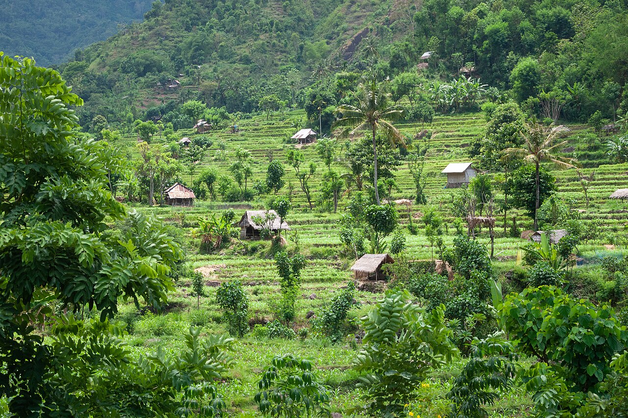 Grüne Reisterrassen mit Hütten am Mount Lempuyang in Ostbali