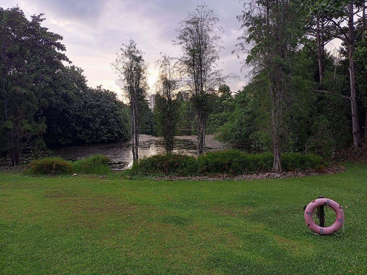 Teich umgeben von Bäumen und Rasen im Botanic Garden Singapur bei Abenddämmerung