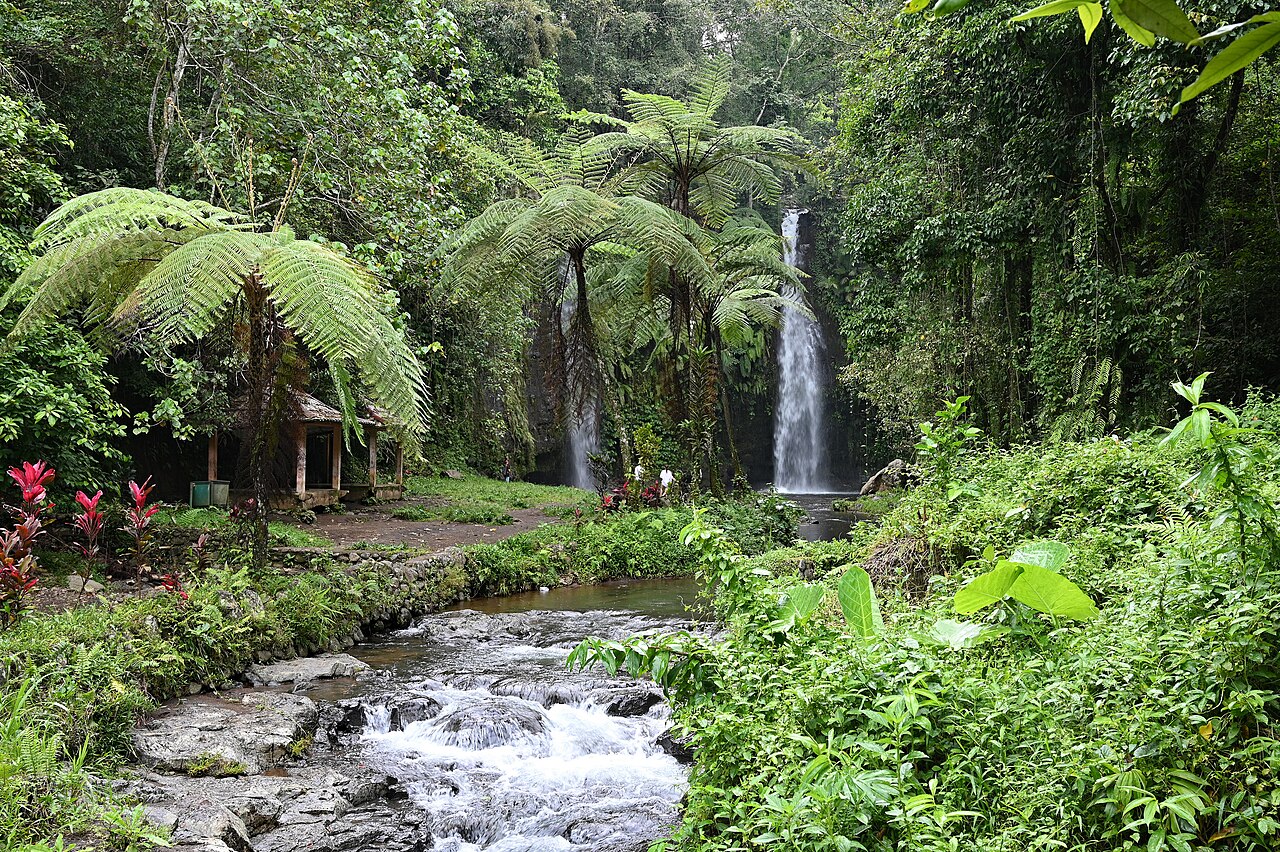 Wasserfall Benang Stokel in Lombok, umgeben von Baumfarnen und dichtem Regenwald