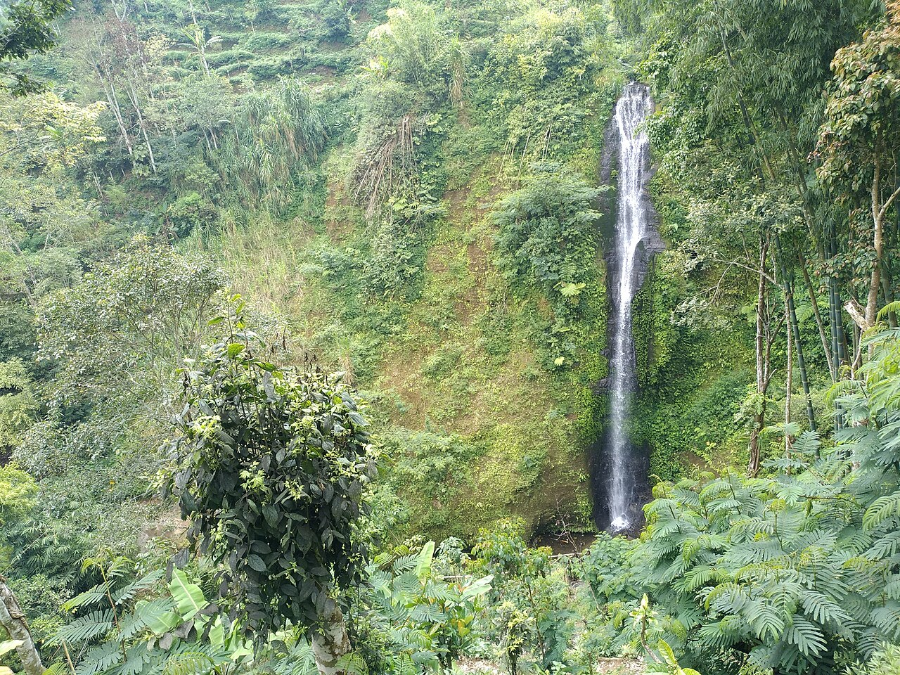 Wasserfall im dichten tropischen Regenwald auf Bali