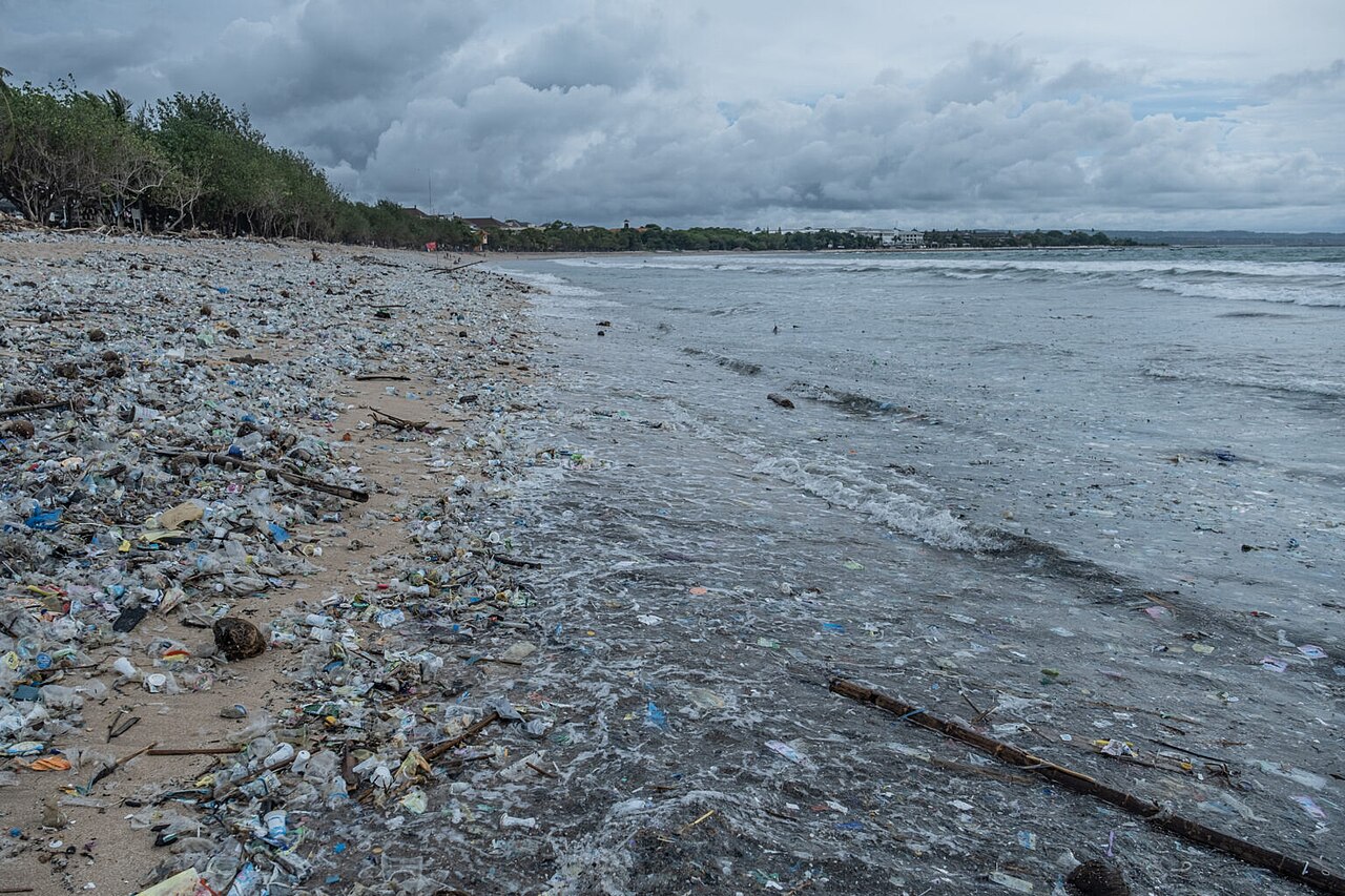 Strand von Kuta mit angeschwemmtem Plastikmüll und Treibholz an der Wasserlinie unter bewölktem Himmel